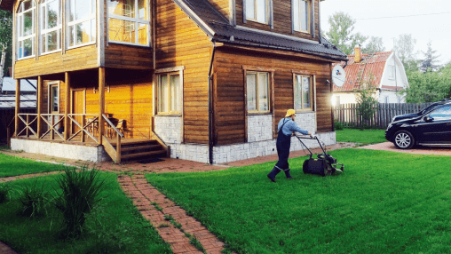 Стрижка газона
